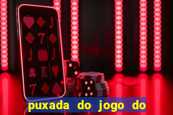 puxada do jogo do bicho da sueli